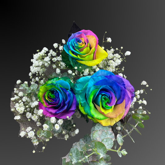 Rainbow Rose Beauty