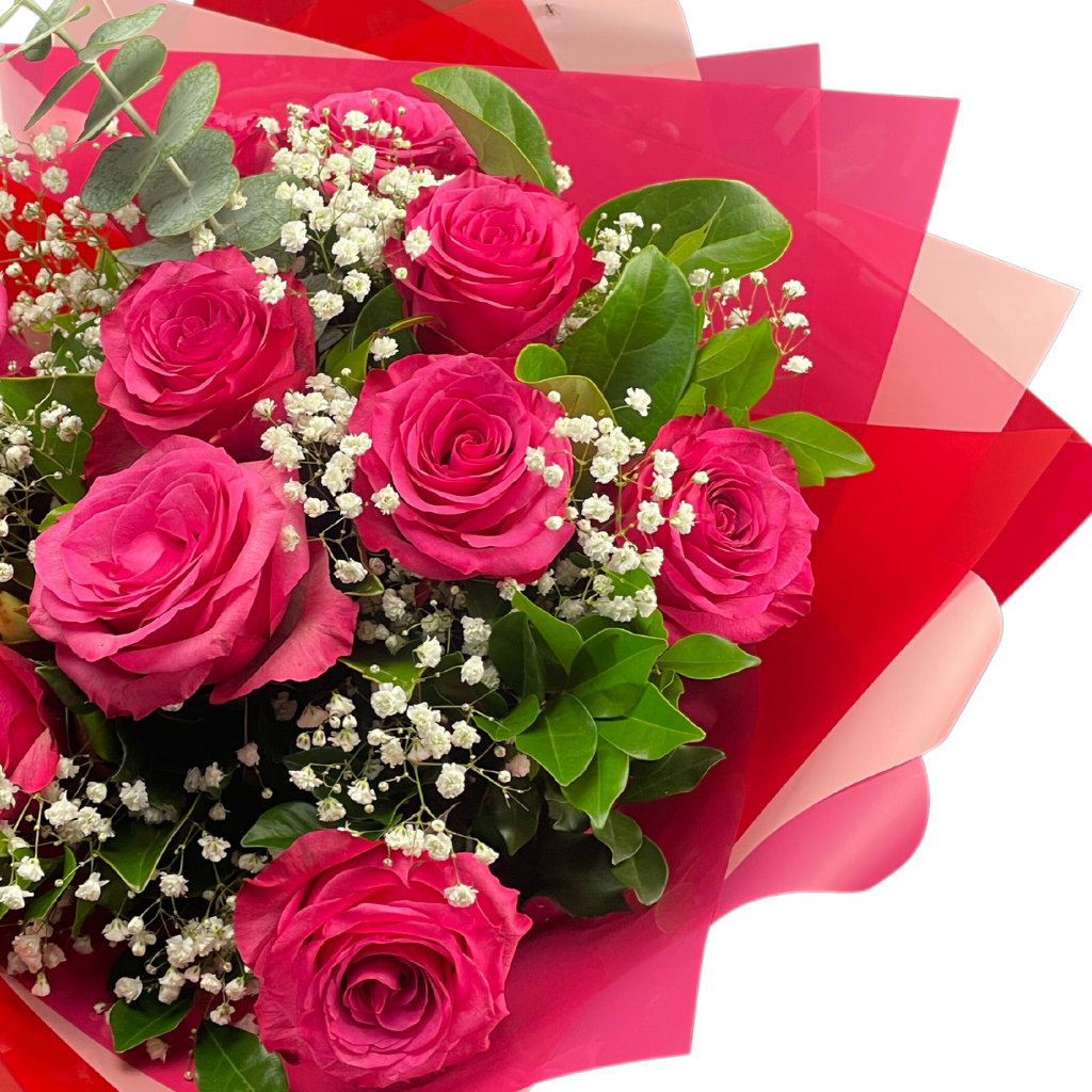 Elegant Columbia Roses Collection- Cerise - 10 STEMS