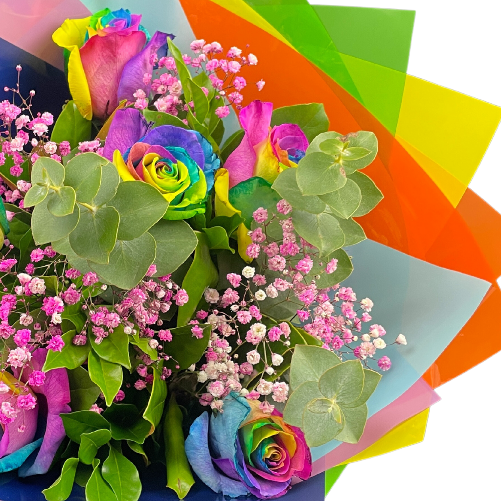 Rainbow Rose Beauty 6 Stems Half Dozen