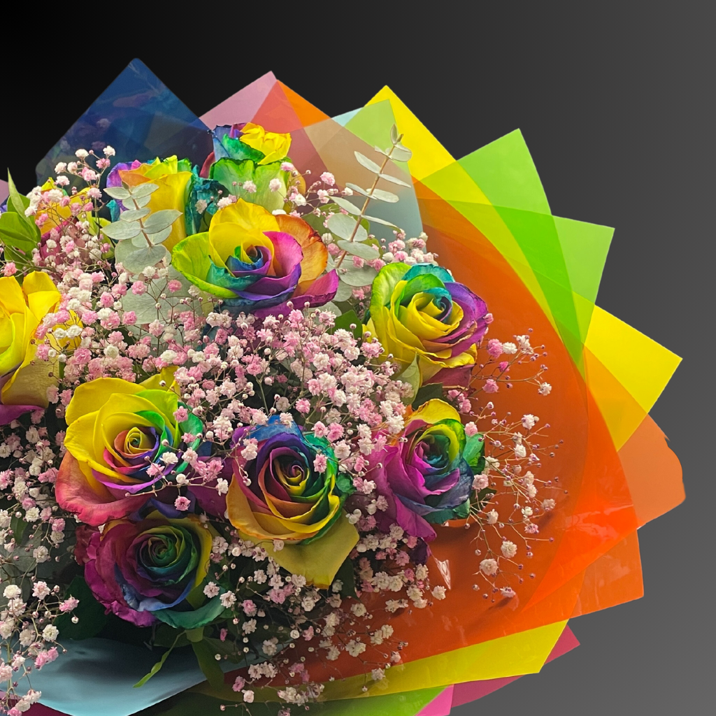 Rainbow Rose Beauty 12 Stems 1 Dozen