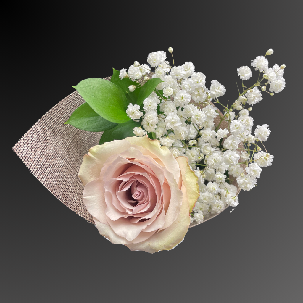 Wrapped in Love Roses