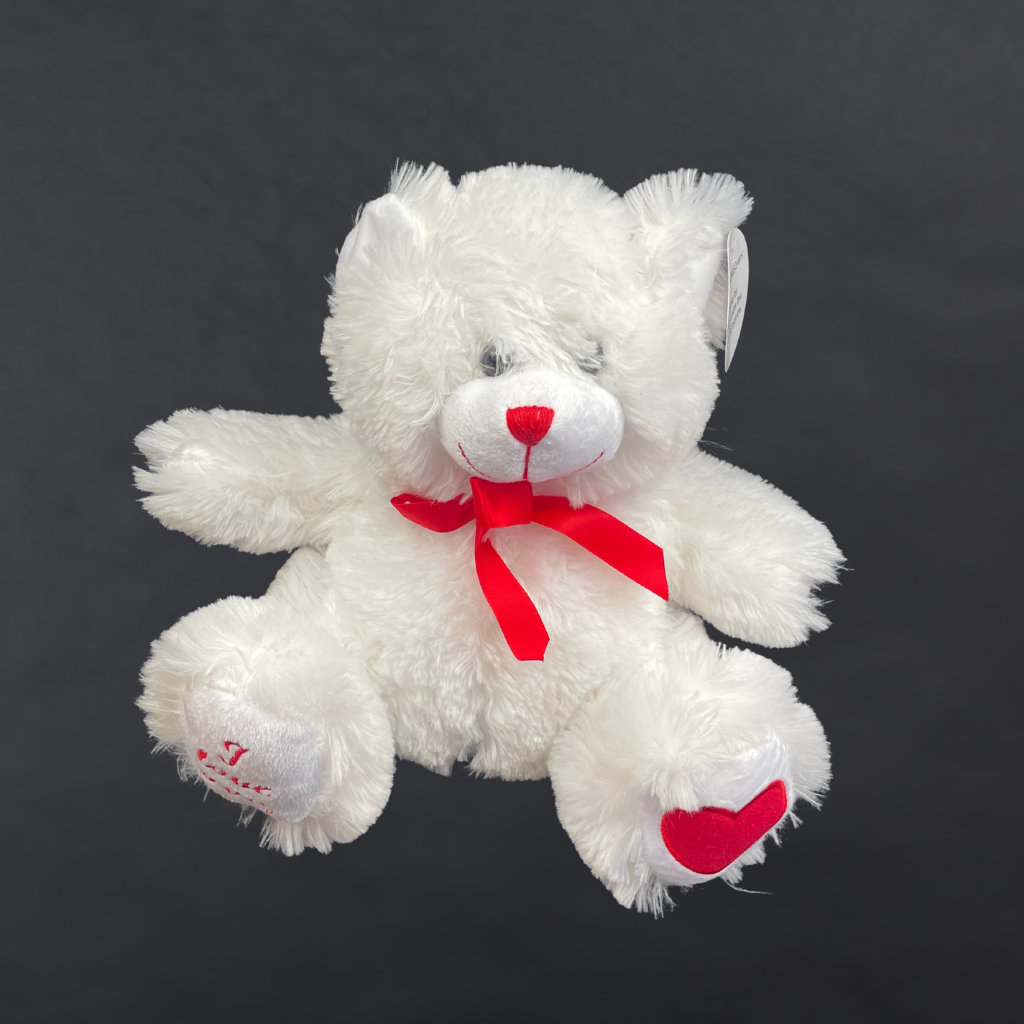 Romeo the Loveable Bear 24cm