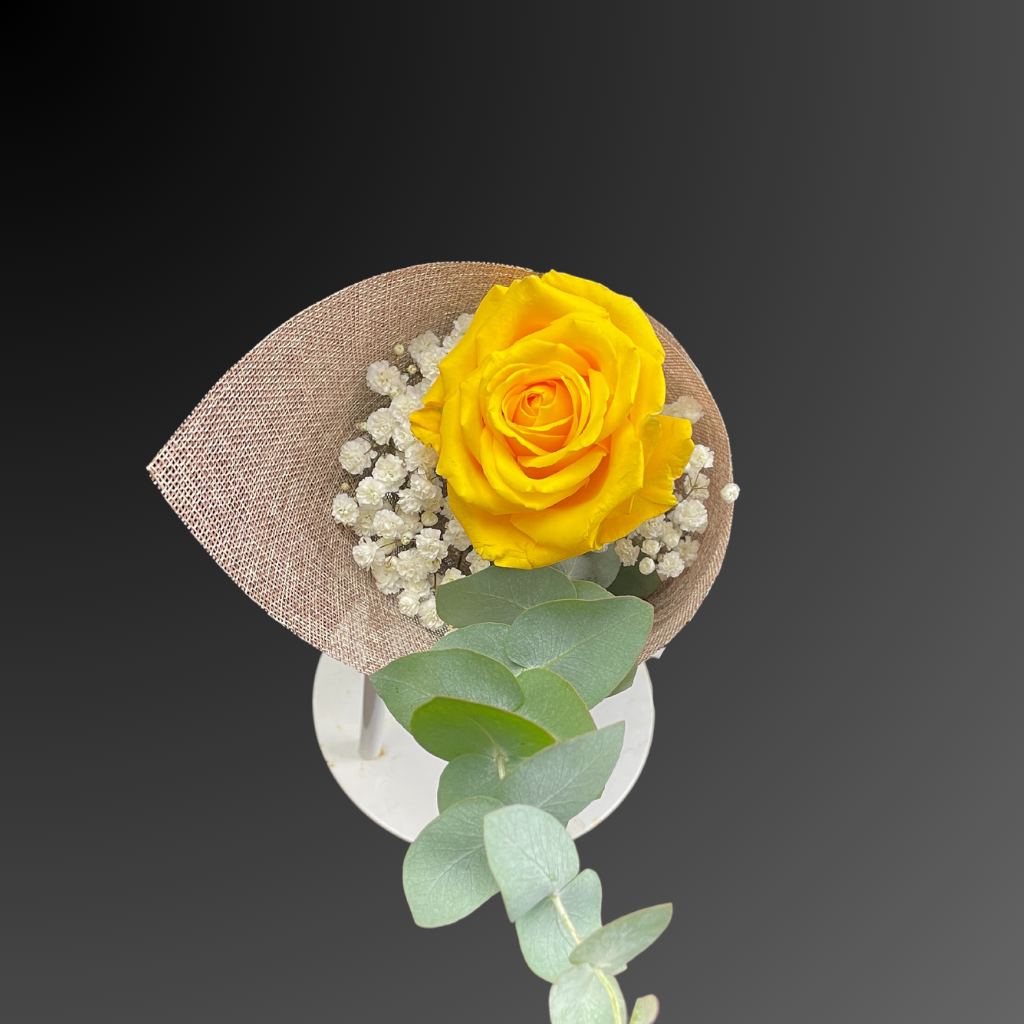 Wrapped in Love Roses