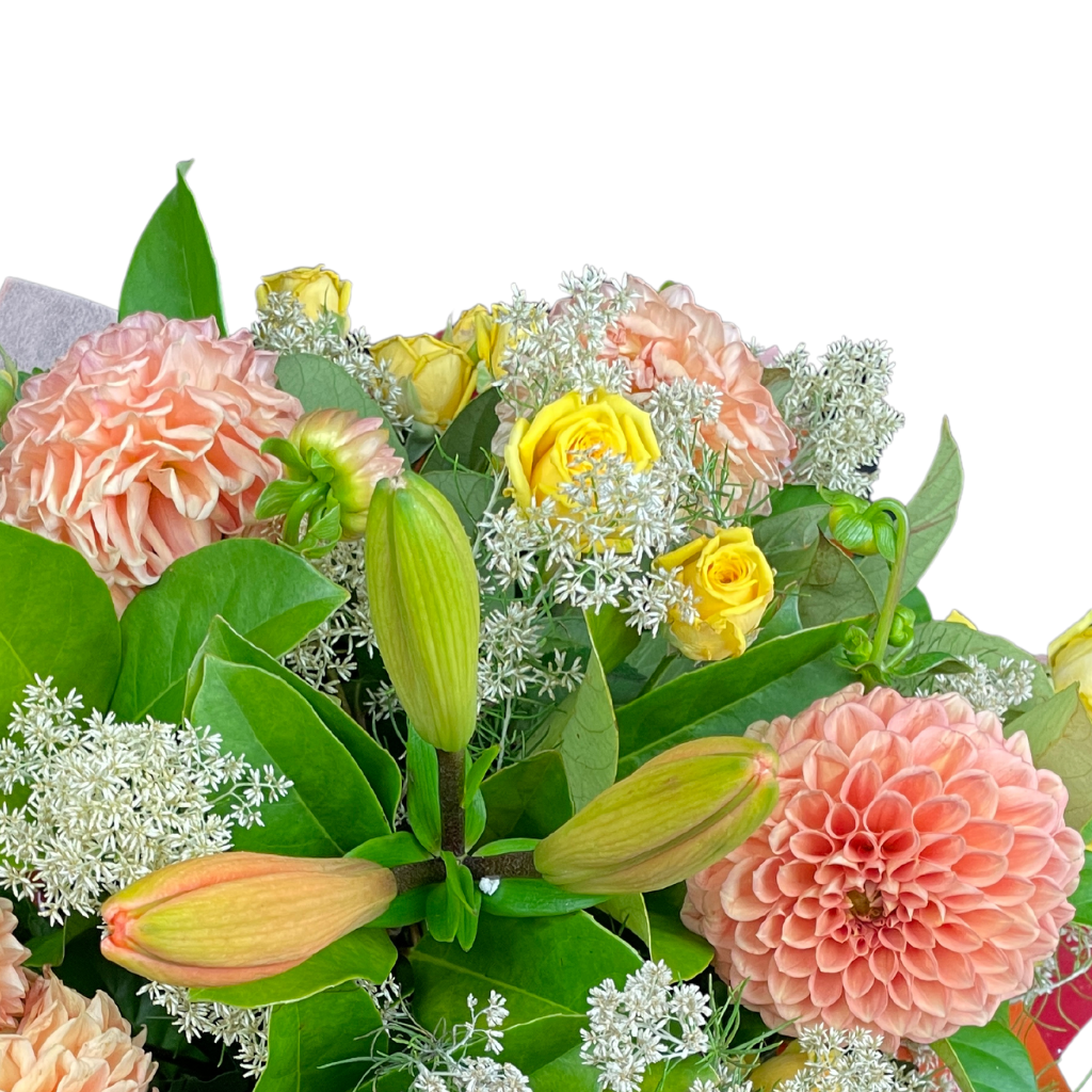 Dahlia Delight Arrangement - Cream / Orange / Apricot