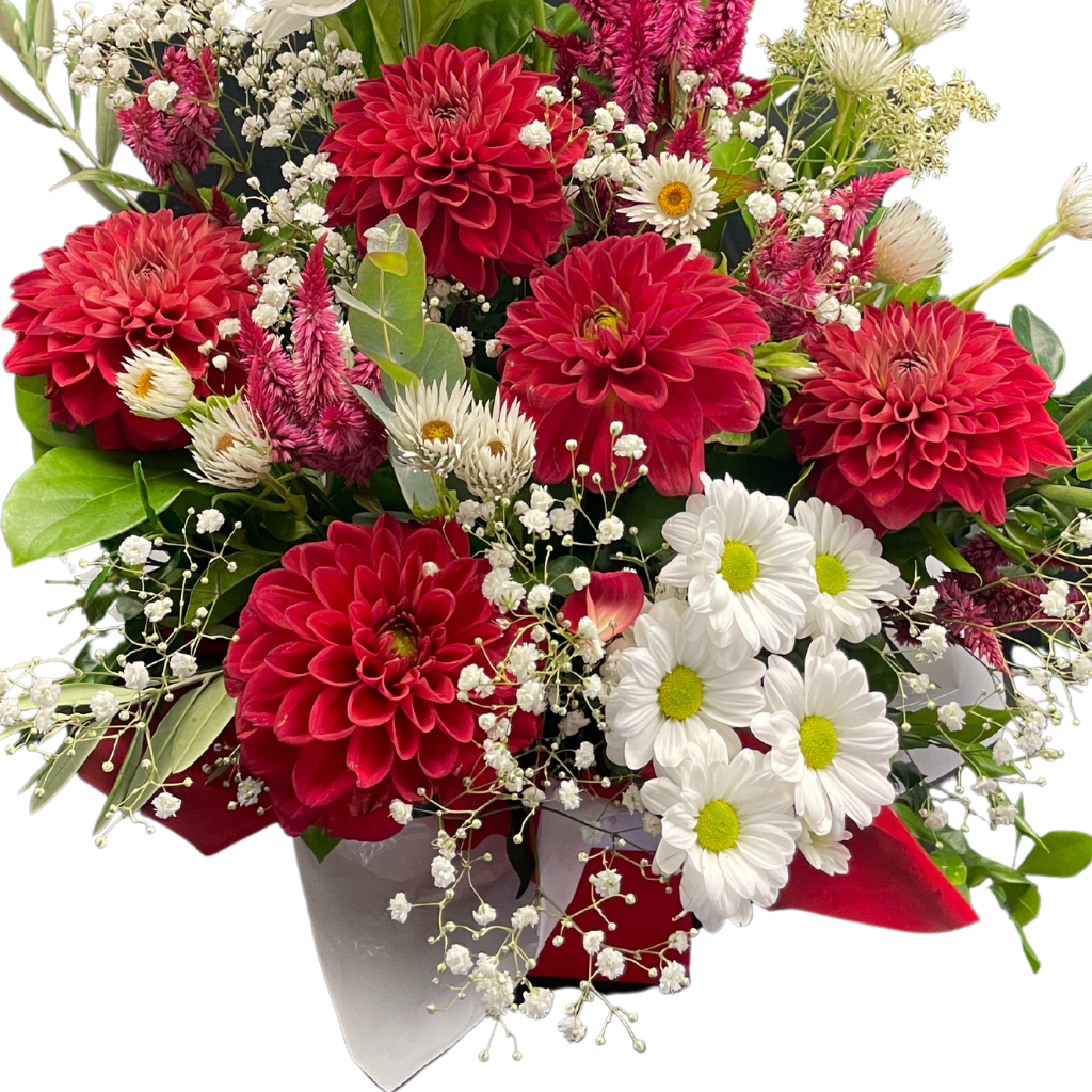 Dahlia Delight Arrangement - Red
