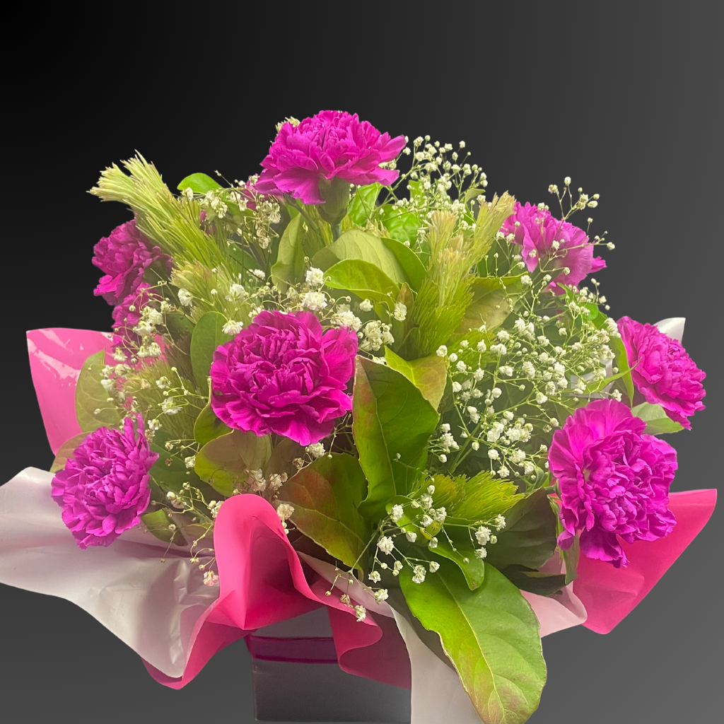 Purple Carnation Collection