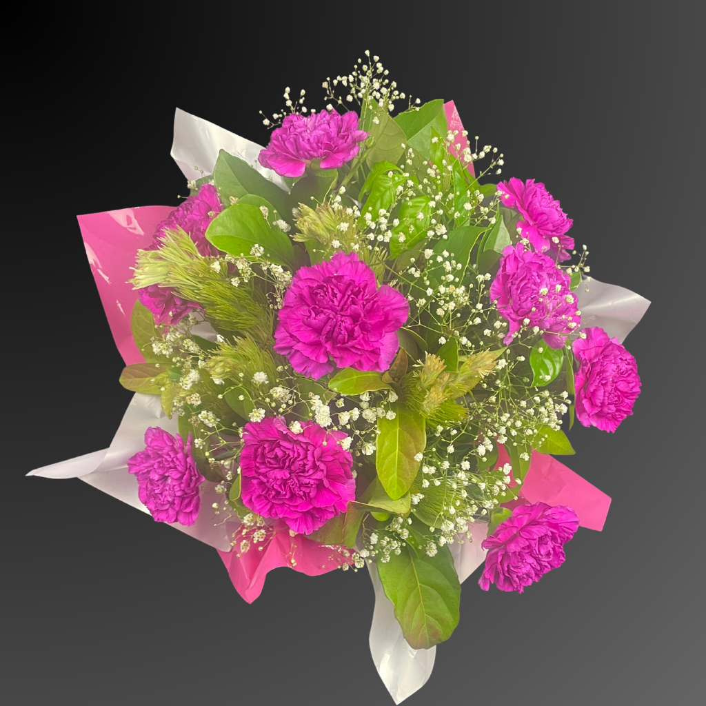 Purple Carnation Collection