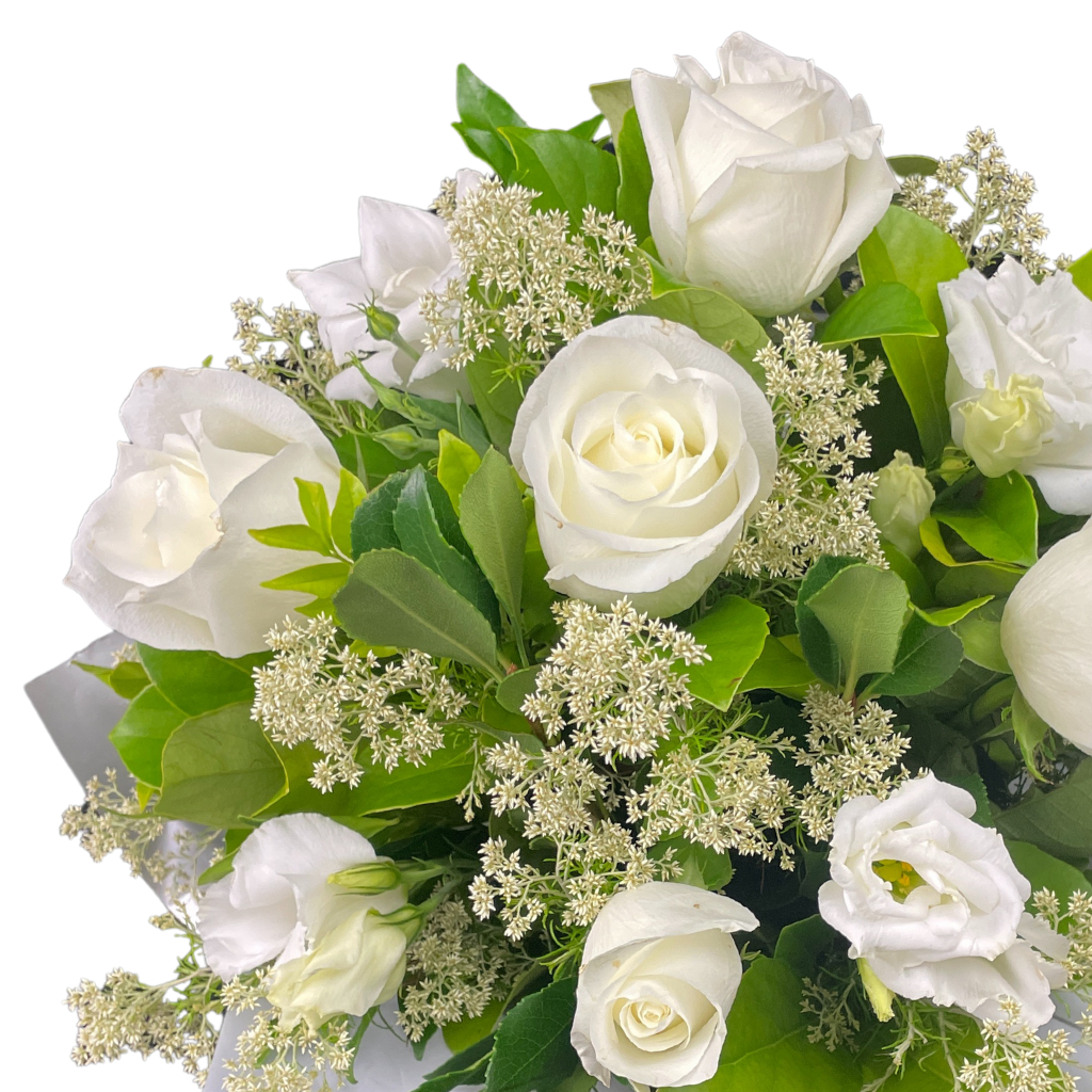 Elegant Roses Arrangement Collection- White - 10 STEMS
