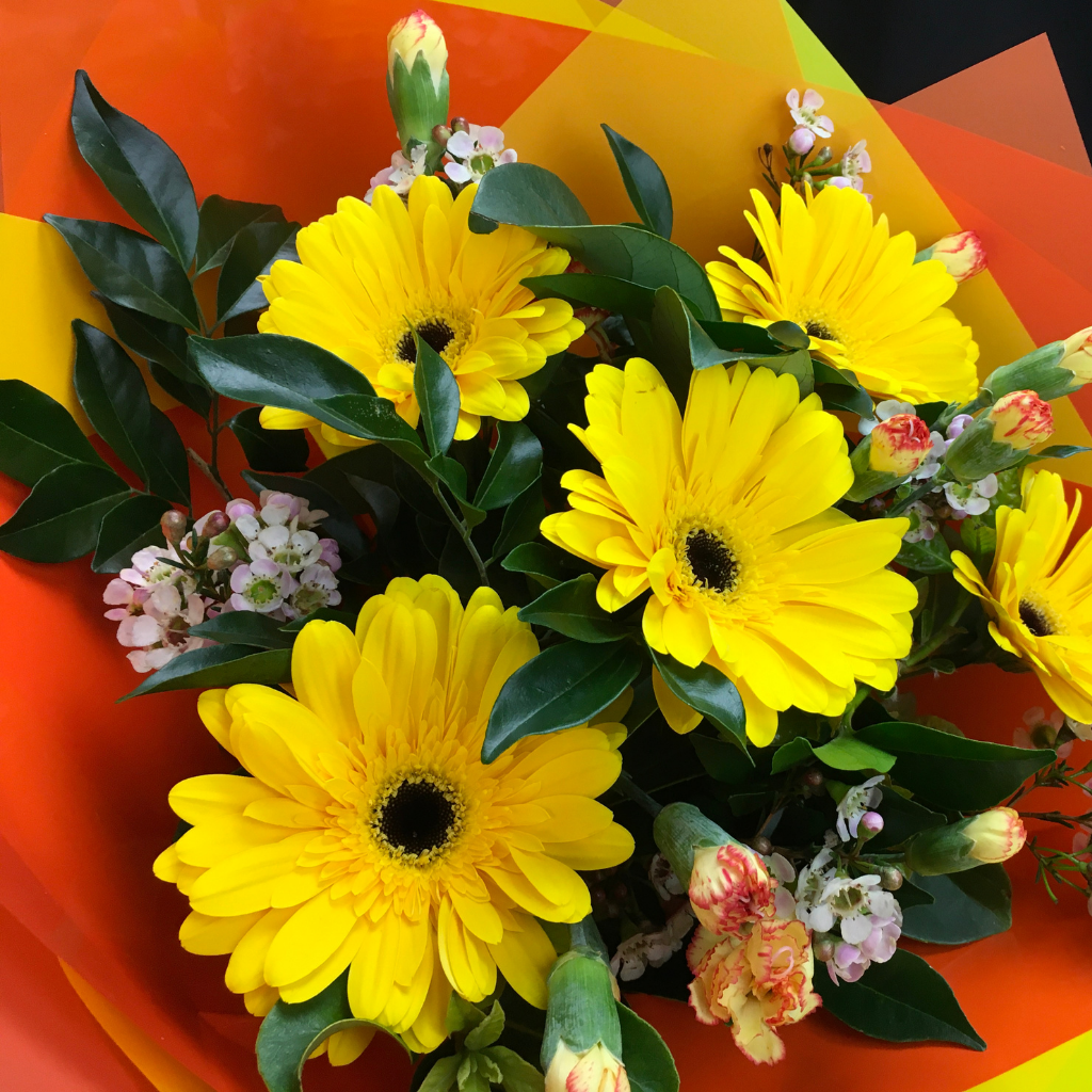 Elegant Gerbera Collections
