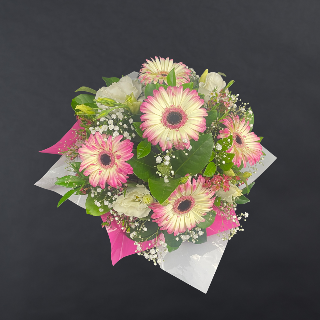 Elegant Gerbera Collections