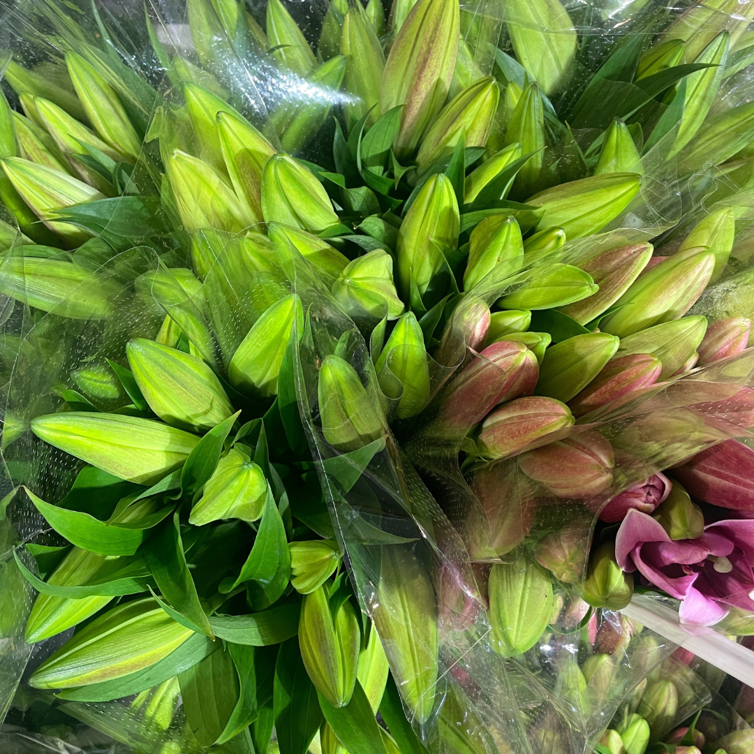 Oriental Lilies (Fragrance)