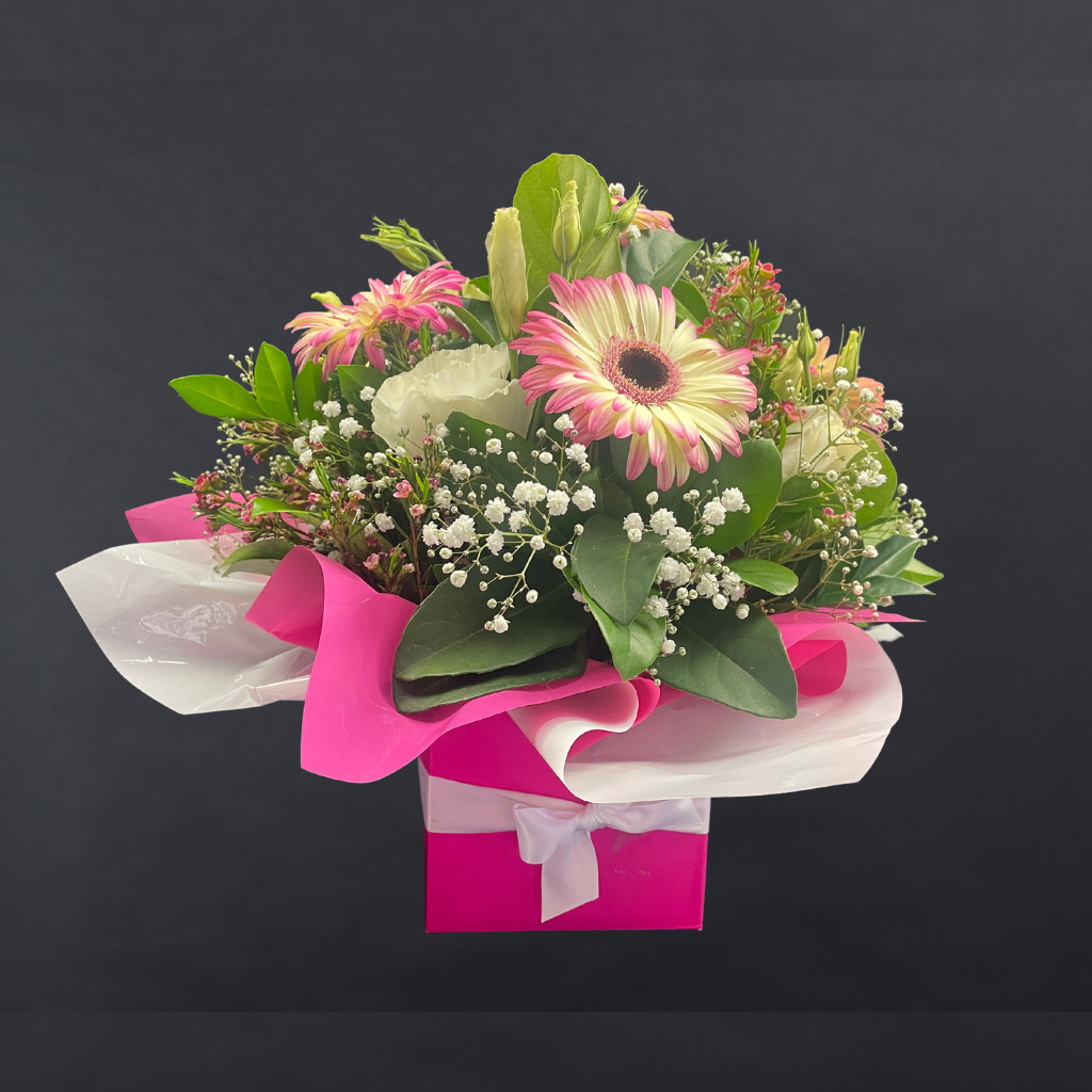 Elegant Gerbera Collections