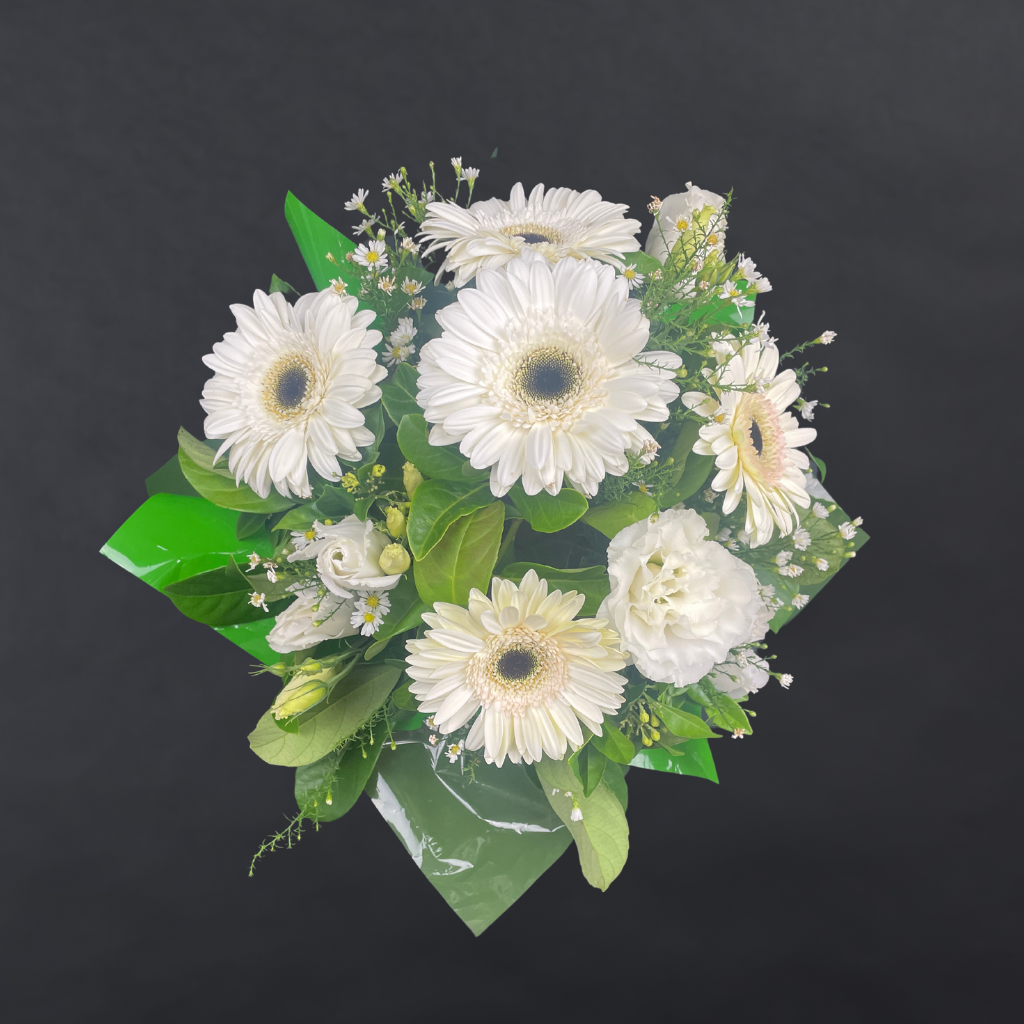 Elegant Gerbera Collections