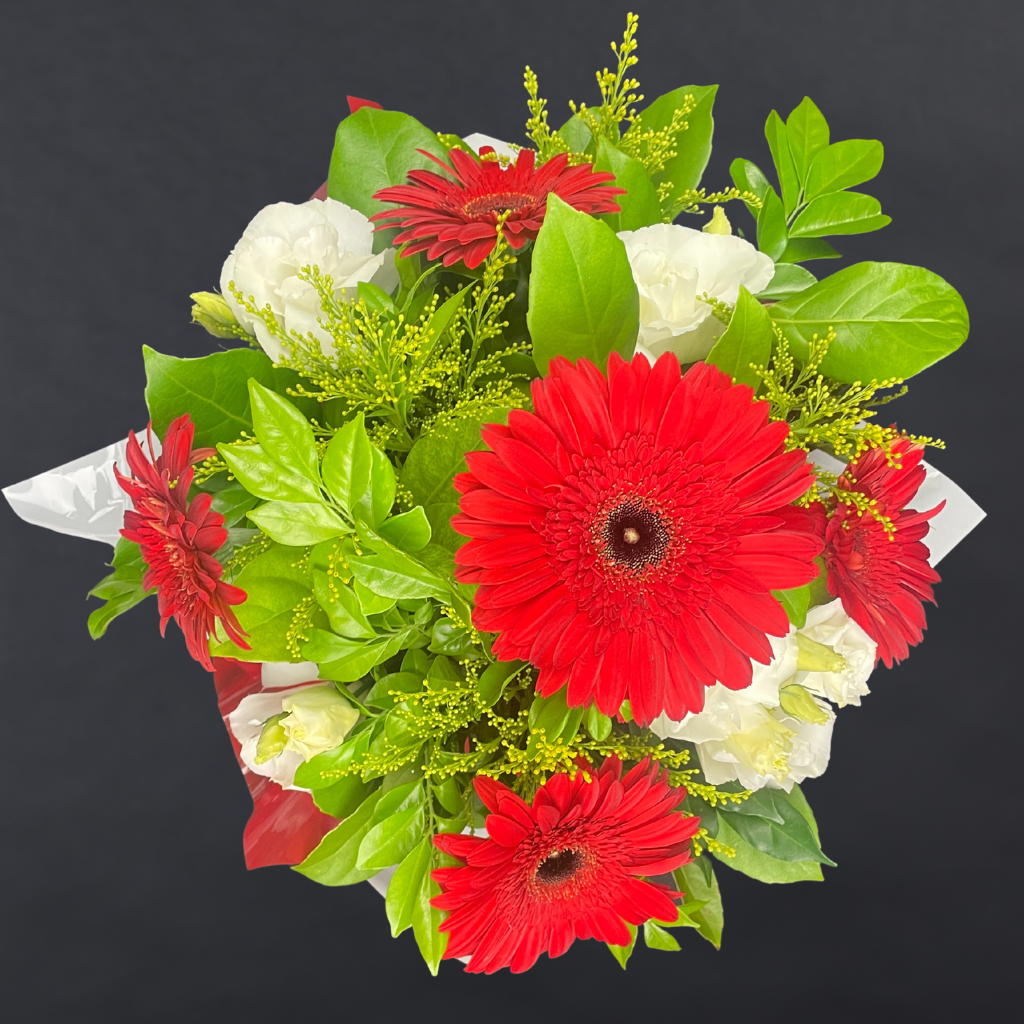 Elegant Gerbera Collections