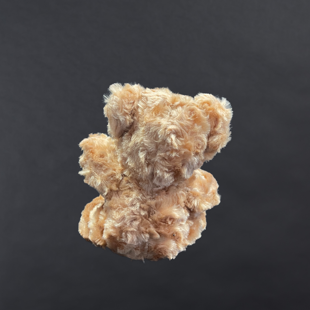 Cuddly Companion Bear 20cm