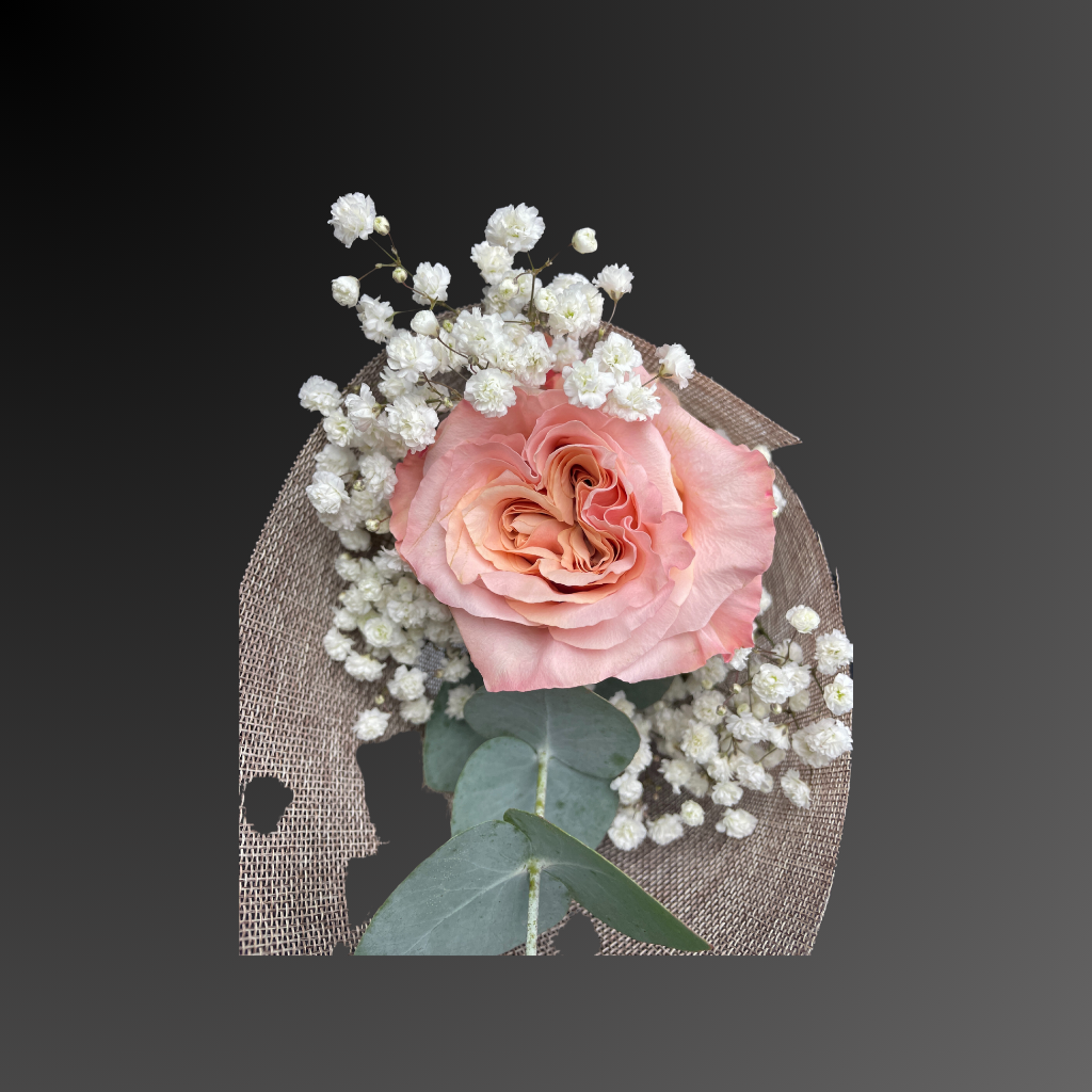 Wrapped in Love Roses