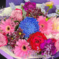 Close-up view of the fresh, premium Roses, Chrysanthemums, and Dahlias in the Mother's Day Radiance Bouquet, showcasing the intricate details and 'Mixed Brights' color palette.