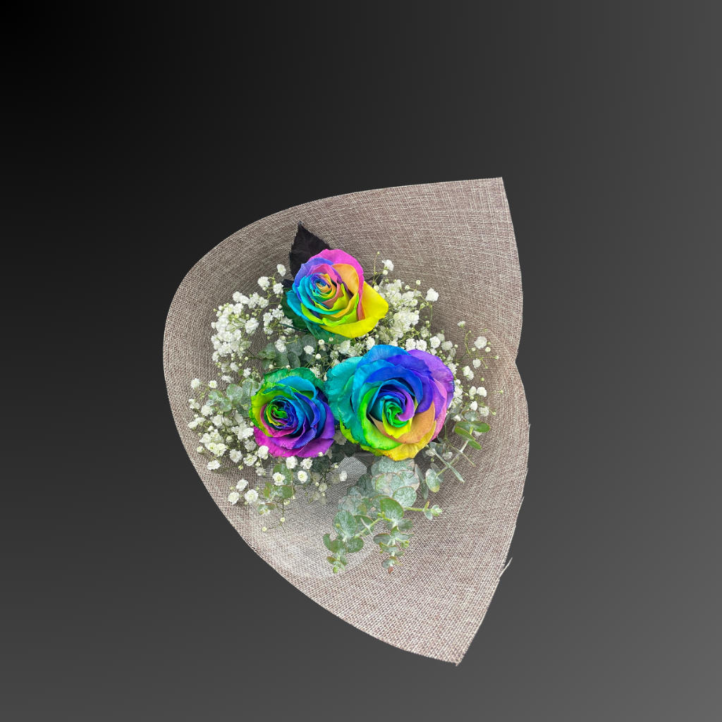Rainbow Rose Beauty