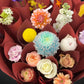 Dahlia & Rose & Chrysanthemum Bouquet - Vase Included - Mixed Brights