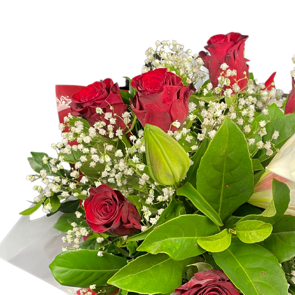 Elegant Roses Arrangement Collection- RED - 10 STEMS