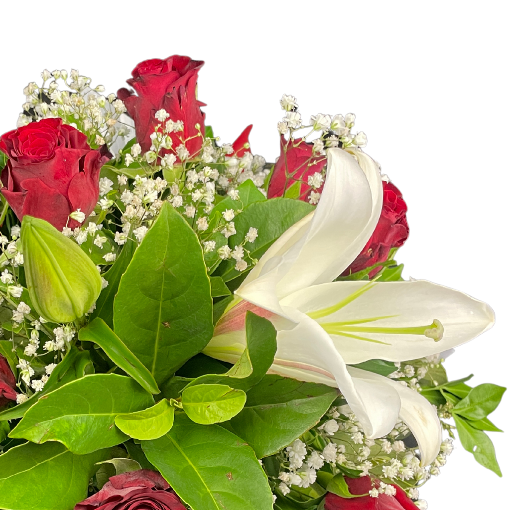 Elegant Roses Arrangement Collection- RED - 10 STEMS