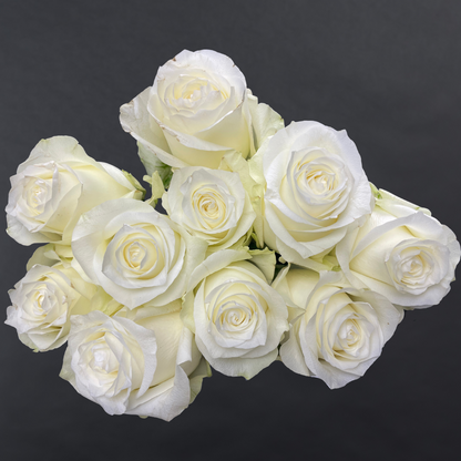 White Diamond Bunch