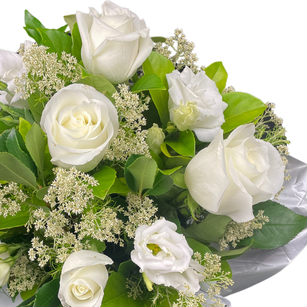 Elegant Roses Arrangement Collection- White - 10 STEMS