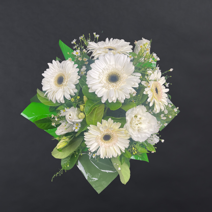Elegant Gerbera Collections