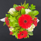 Elegant Gerbera Collections