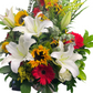 A Front Arrangement Sunny Persistence - Coulorful