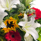 A Front Arrangement Sunny Persistence - Coulorful