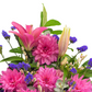 Dahlia Delight Arrangement - Hot Pink